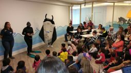 Educação